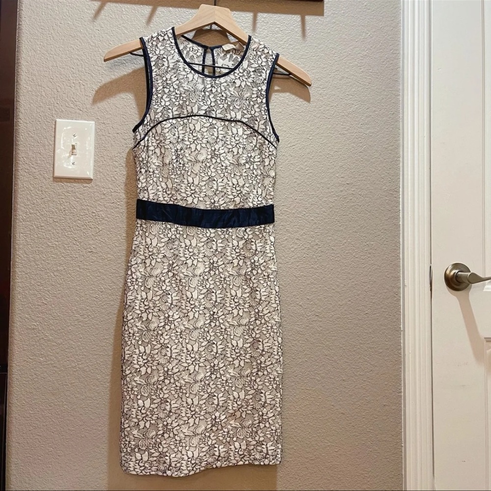Banana Republic Lace Sheath Dress-00P